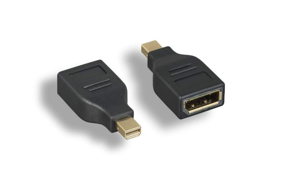 Mini DisplayPort To DisplayPort Adapter