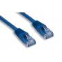 10FT CAT5e Ethernet RJ45 Network Cable Blue