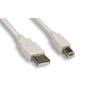 USB 2.0 COMPUTER Cable TYPE A to TYPE B White 10FT