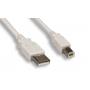 USB 2.0 AB Cable 6FT White